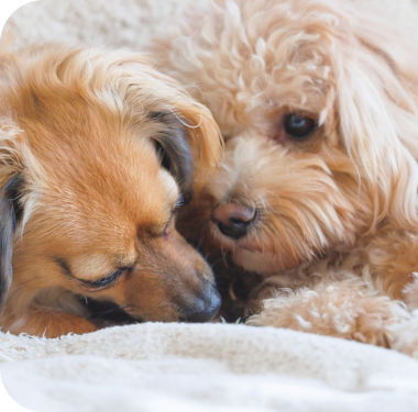 smキービジュアル