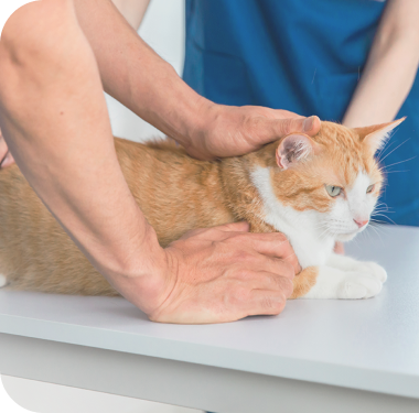 smキービジュアル