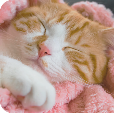 smキービジュアル