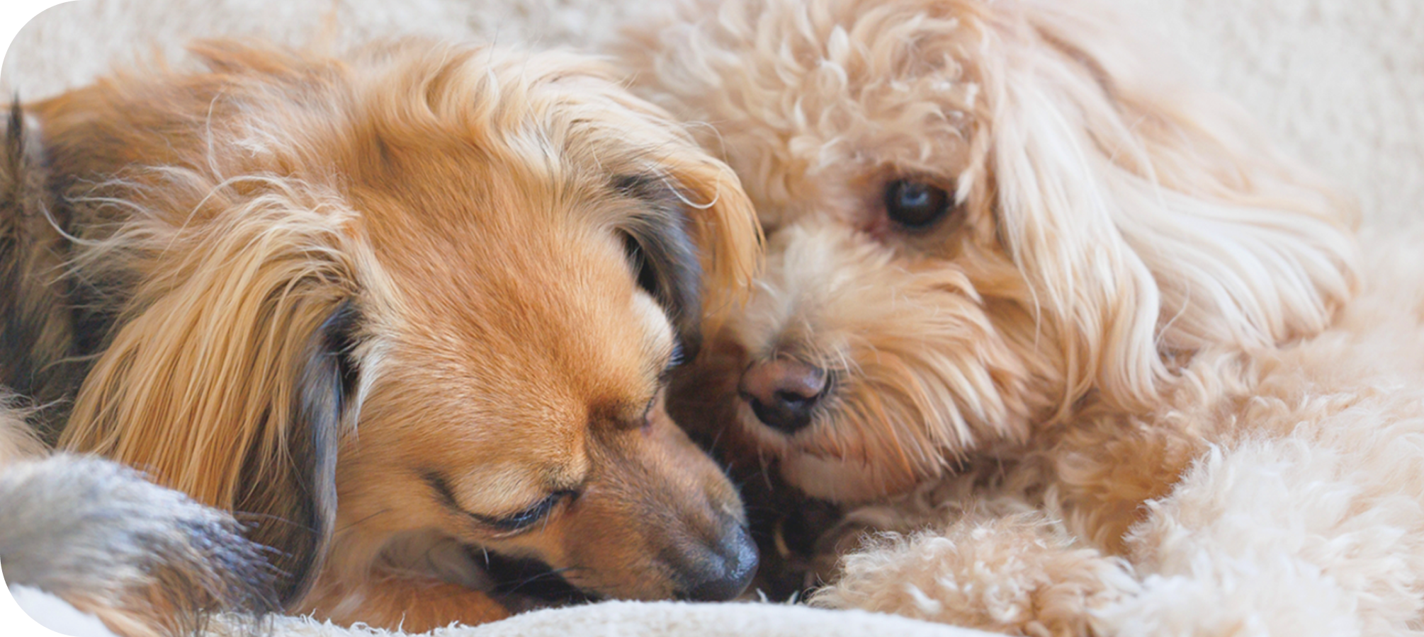 キービジュアル