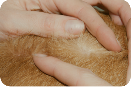 皮膚科背景画像